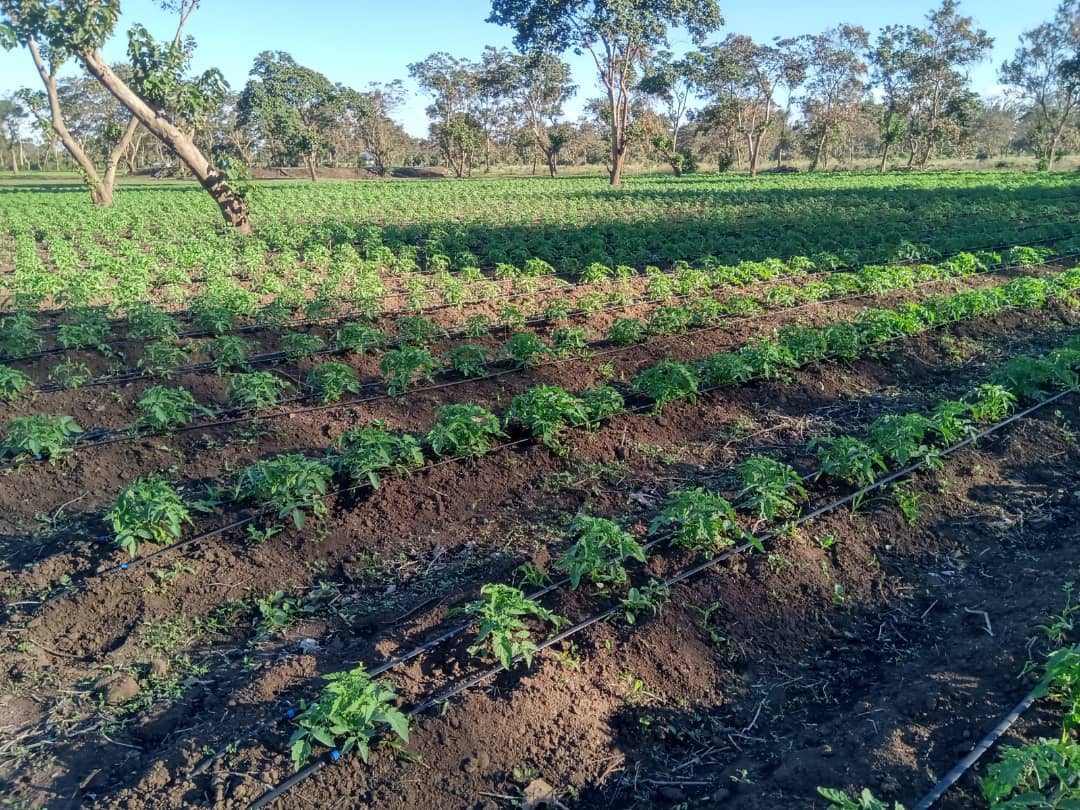 Irrigation systems
