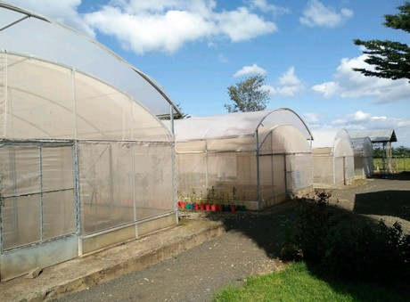 Food production and catering services