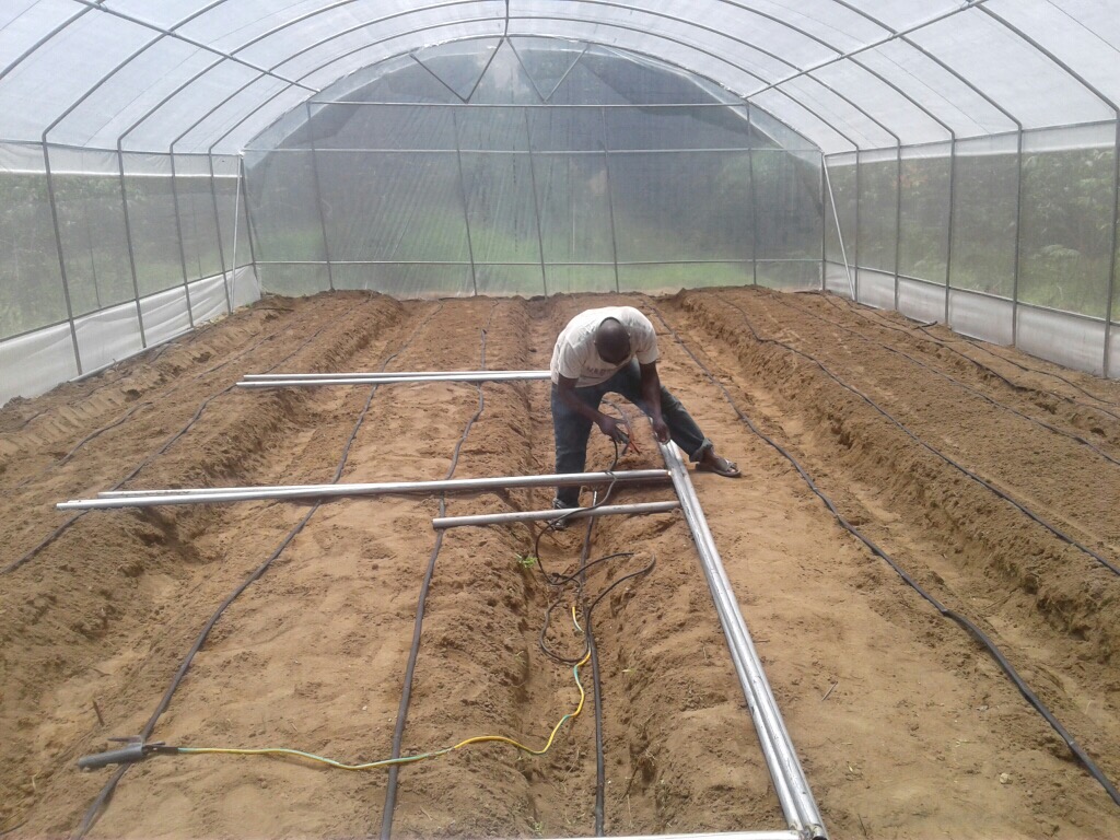 Food production and catering services