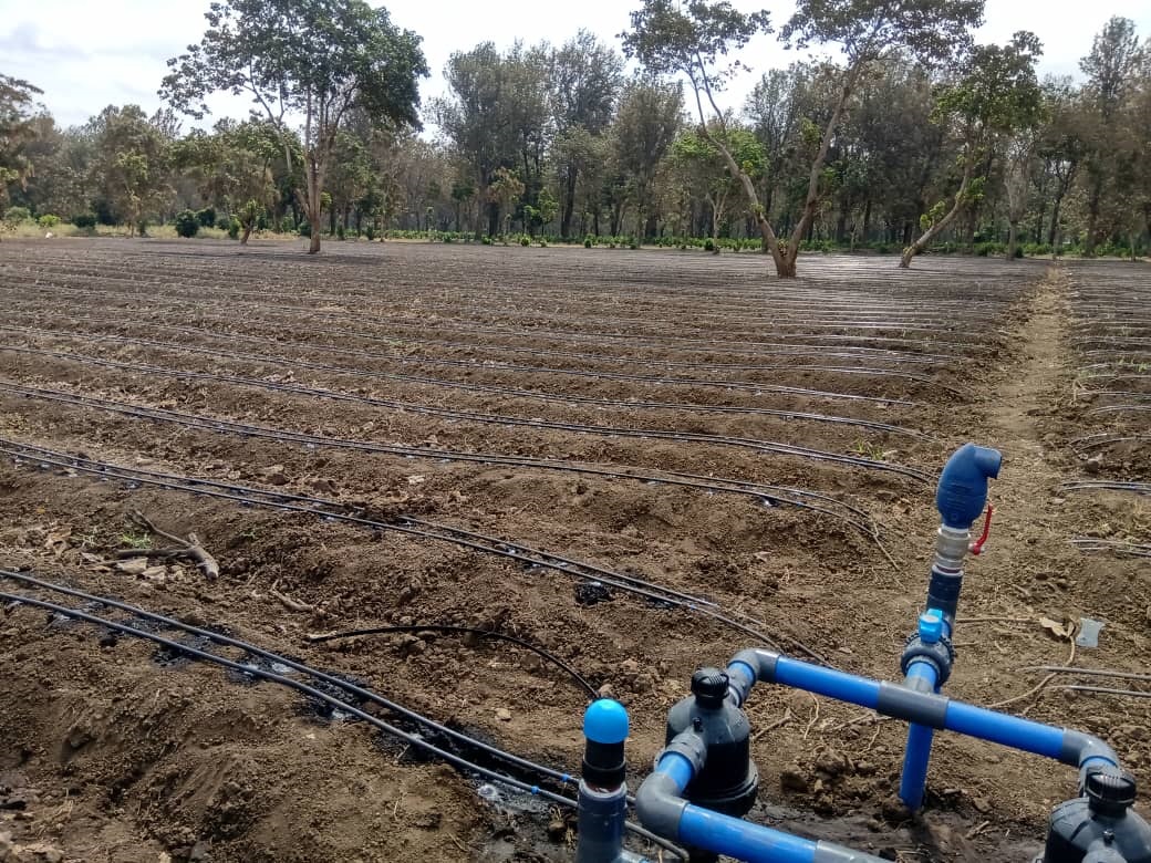 irrigation systems